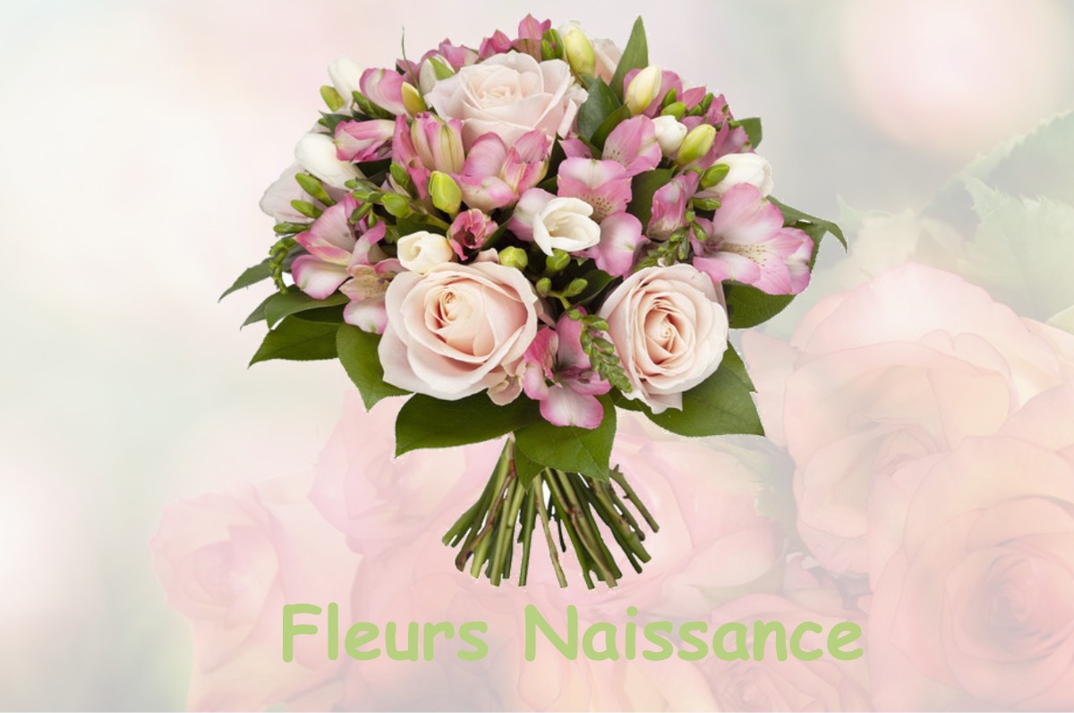 fleurs naissance BAULNY