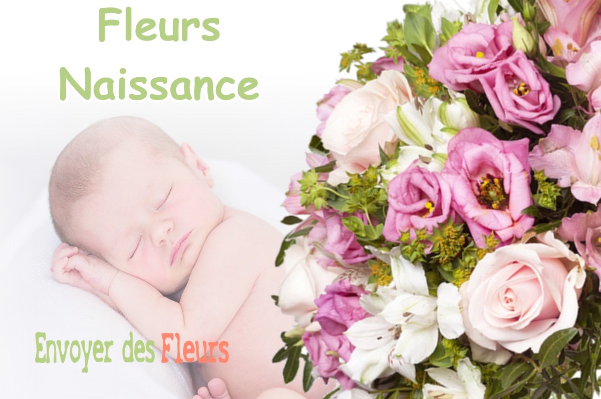 lIVRAISON FLEURS NAISSANCE à BAULNY